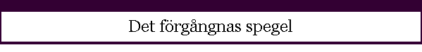 Det f�rg�ngnas spegel